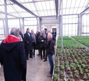 Visita invernadero fresas Laragel